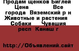 Продам щенков Биглей › Цена ­ 15 000 - Все города, Вяземский р-н Животные и растения » Собаки   . Чувашия респ.,Канаш г.